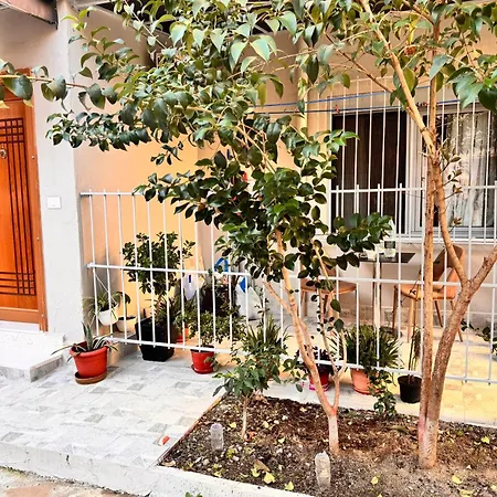 Hidden Gem 1 地拉那